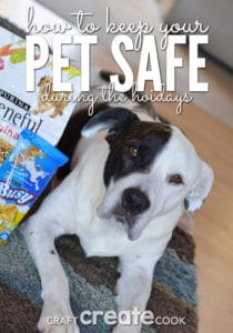 10 Ways To Keep Your Pet Safe This Holiday Season - Craft Create Cook