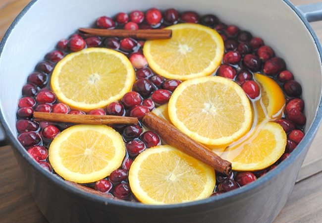 Sweet Orange, Cranberry, and Clove Simmer Pot Mix — Under A Tin Roof