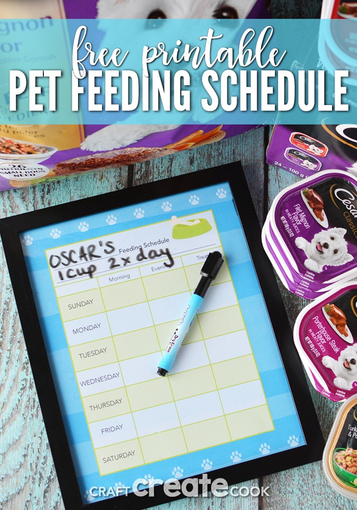 craft-create-cook-diy-pet-feeding-schedule-printable-craft-create-cook