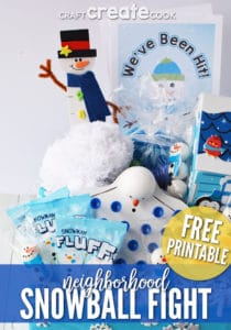 Fun Winter Party Idea for an Indoor Snowball Fight - Craft Create Cook